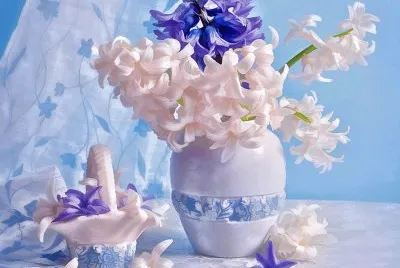 Purple and Pink Hyacinths