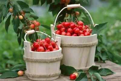 frutas