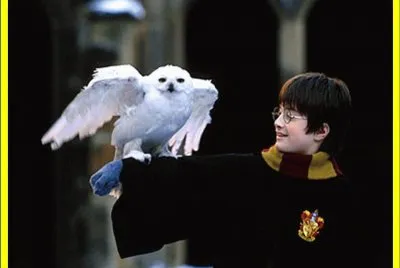 Harry Potter y su bÃºho nival