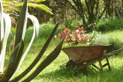 Jardin 18 jigsaw puzzle