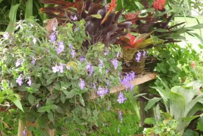 Jardin 22