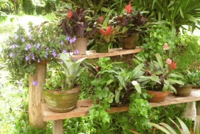 Jardin 23