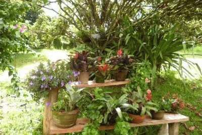 Jardin 26