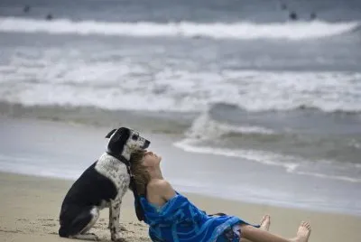 Imagenes jigsaw puzzle