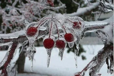 Imagenes jigsaw puzzle