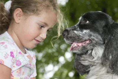 Imagenes jigsaw puzzle