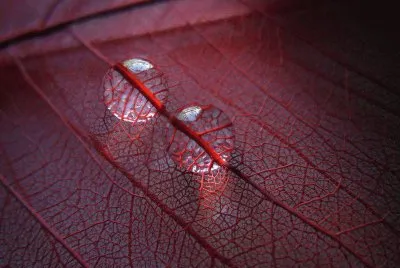 Imagenes jigsaw puzzle