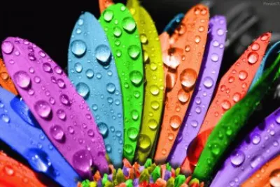 Colors