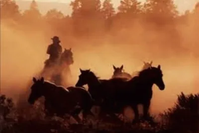 Bringing them home - Wyoming