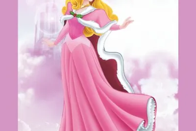 Aurora jigsaw puzzle