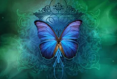 mariposa