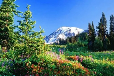 Paisagem 2