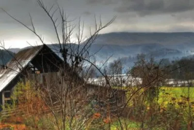 peaceful easy feeling