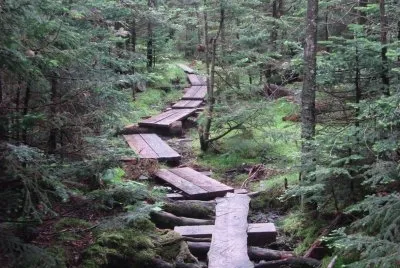 spring in Appalachia