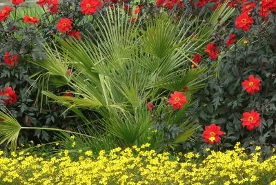 JardÃ­ jigsaw puzzle