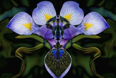 very  flower
