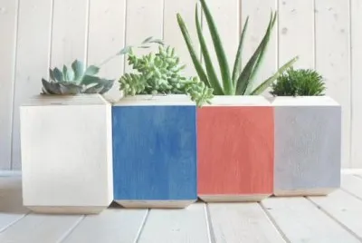 birch planters