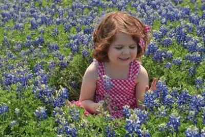 Little Girl in the Purple Flowers