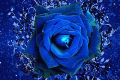 פאזל של rosa azul