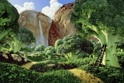 broccoli and bread forest