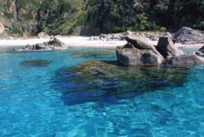 Imagenes jigsaw puzzle