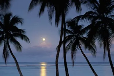 Imagenes jigsaw puzzle