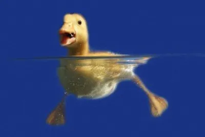 Imagenes jigsaw puzzle