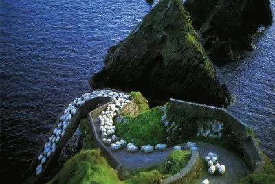 Imagenes jigsaw puzzle