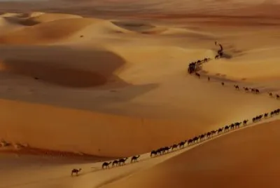 Imagenes jigsaw puzzle