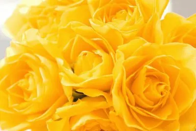 Imagenes jigsaw puzzle