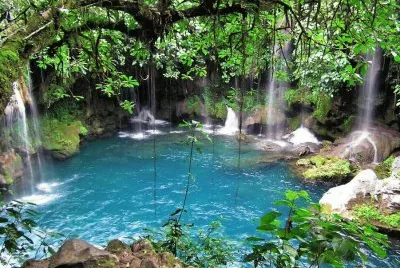 Imagenes jigsaw puzzle