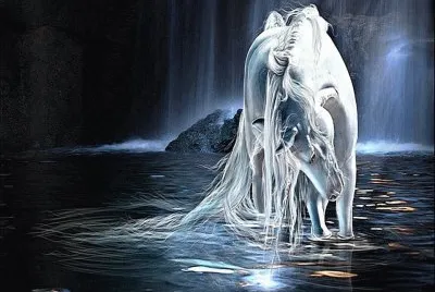 Imagenes jigsaw puzzle