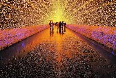 Nagashima-Kuwana