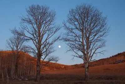 Colorado moonrise