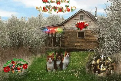 En navidad