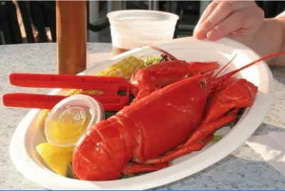 New England lobster