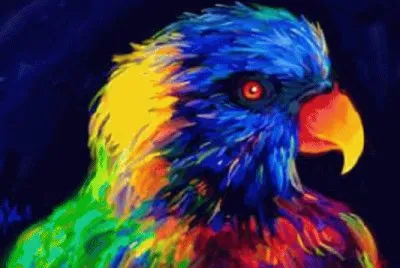 colorful bird
