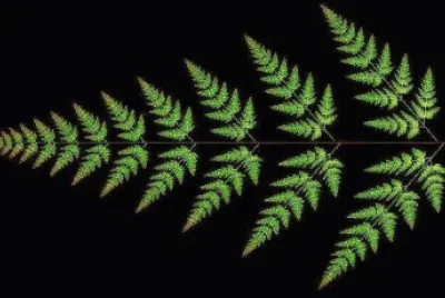 fern fractal