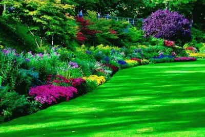 Imagenes jigsaw puzzle