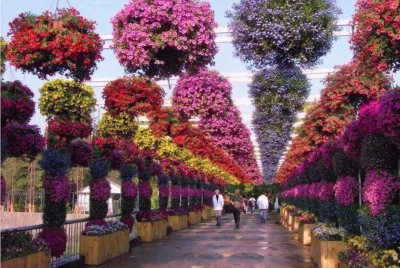 Imagenes jigsaw puzzle