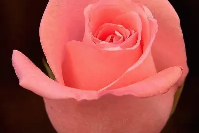 Imagenes jigsaw puzzle