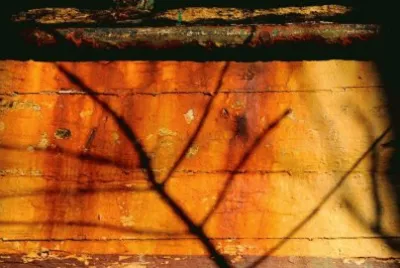 Imagenes jigsaw puzzle