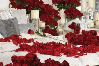 Imagenes jigsaw puzzle