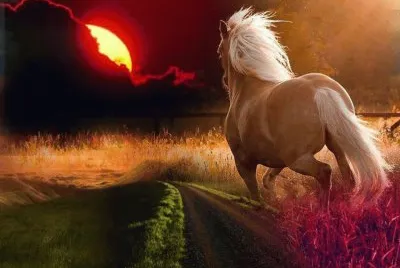 Imagenes jigsaw puzzle