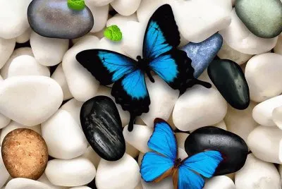 Imagenes jigsaw puzzle