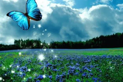 Imagen jigsaw puzzle