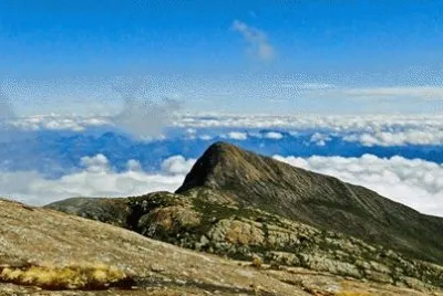 pico