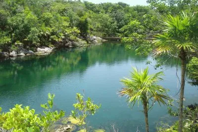 agua jigsaw puzzle
