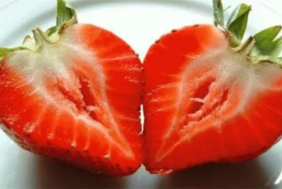 frutas