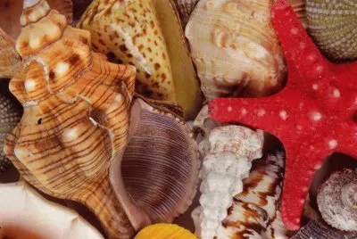 Natura jigsaw puzzle